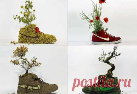 «Цветочные» кроссовки: отличное сочетание природы и урбанистики | Fashion | Мода, одежда