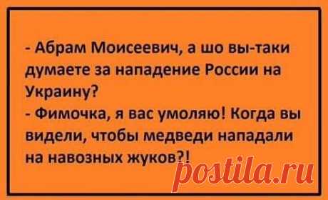 (6) Сашенька Мир - Фото из публикации Сашеньки Мир в Моя Россия