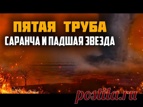 Кто такая саранча из Книги Откровение и когда она выйдет? Последнее время. Проповеди христианские