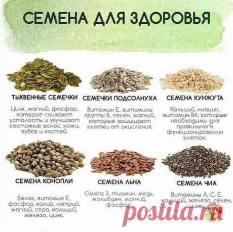 Семена для здоровья