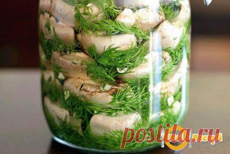 Малосольные шампиньоны | Поваренный сайт