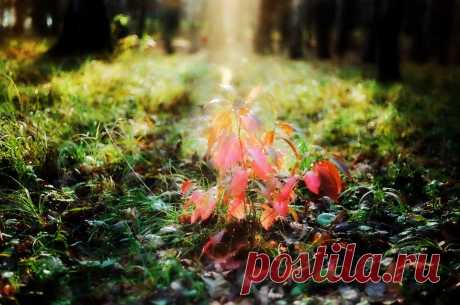 из альбома "Неопикто". Игра света. Фотогалерея Лучшие фотоработы в различных направлениях.