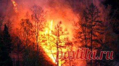 В Ростовской области произошёл лесной пожар в результате падения БПЛА. В Милютинском районе Ростовской области произошёл лесной пожар на площади 20 га в результате падения украинского беспилотника. Читать далее