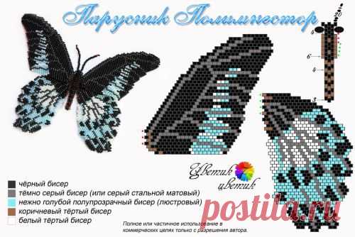 АртБисер - Схема к бабочке "Парусник Полимнестор"