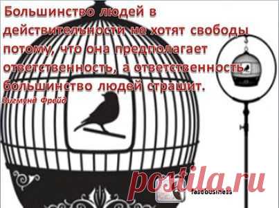 (1) Лицо бизнеса