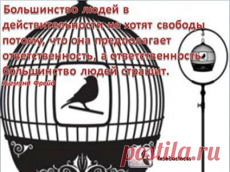 (1) Лицо бизнеса