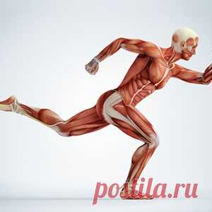 Боль: как распознавать сигналы тела - МирТесен
