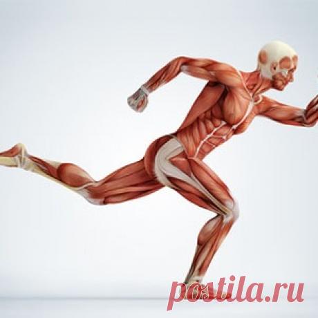 Боль: как распознавать сигналы тела - МирТесен