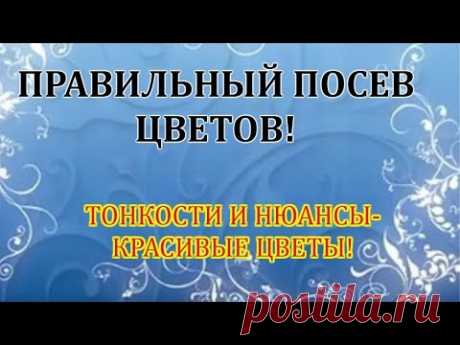 КАК ПРАВИЛЬНО ПОСЕЯТЬ ЦВЕТЫ В ДОМЕ! ВАЖНЫЕ НЮАНСЫ И ТОНКОСТИ. ШАГ 1.