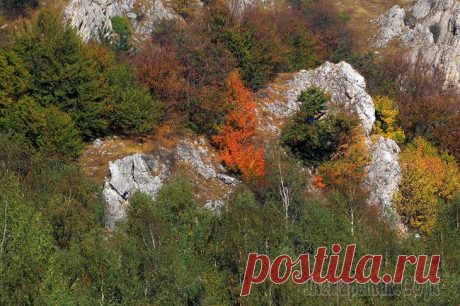 Крым. Осень на Южном Демерджи - Долина Привидений