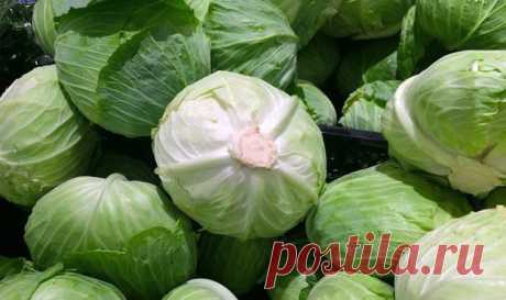 Что #приготовить #из_капусты. Много рецептов
- Как приготовить гениально простой #салат из капусты с минеральной водой
- Подозрительно вкусная капуста
- #Окономияки — — японское блюдо с капустой
- Приготовим из капусты веганские #оладьи
- Как приготовить #суп из капусты
- #Голубцы — рецепт фаршированной капусты из Венгрии
- Карамелизированная капуста