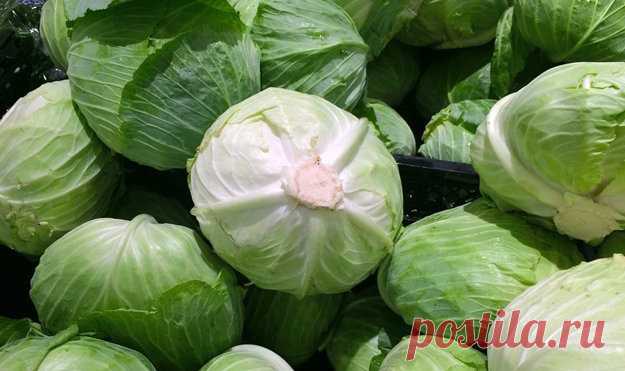 Что #приготовить #из_капусты. Много рецептов
- Как приготовить гениально простой #салат из капусты с минеральной водой
- Подозрительно вкусная капуста
- #Окономияки — — японское блюдо с капустой
- Приготовим из капусты веганские #оладьи
- Как приготовить #суп из капусты
- #Голубцы — рецепт фаршированной капусты из Венгрии
- Карамелизированная капуста