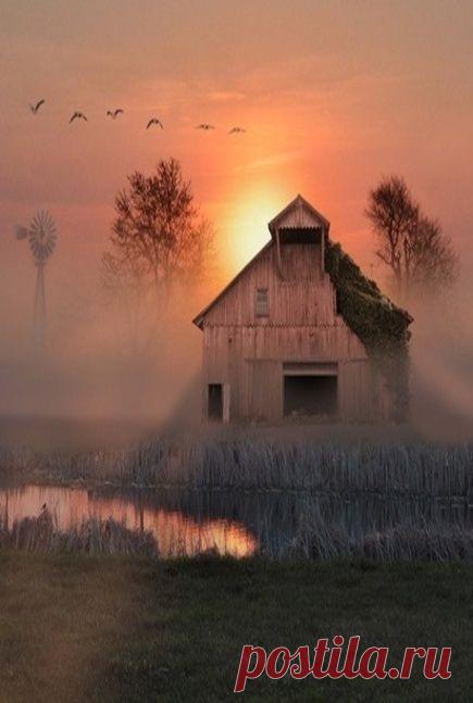 WOW | Sue Eleazer приколол(а) это к доске Photography - Photos that speak t…| Pinterest