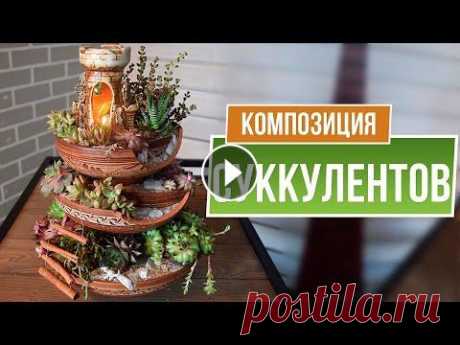 Прекрасная композиция из суккулентов ✔️ Оформление посуды мини сад своими руками ☘ Garden-zoo интернет-магазин - ✿ Вконтакте - ❦ Одноклассники - ✿ instagram - ❦ facebook - Товары представленные в роликах вы можете приобрести по адр...