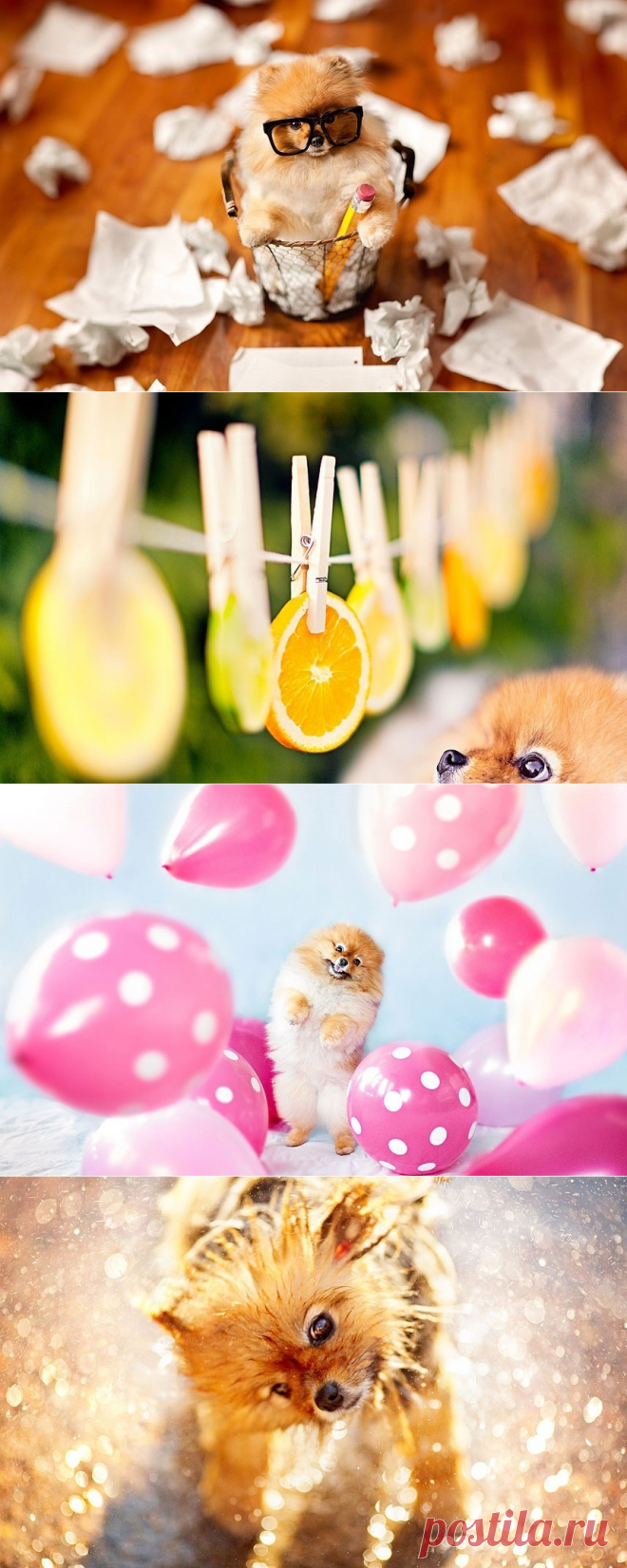 Флинт - звездный пес - Путешествуем вместе