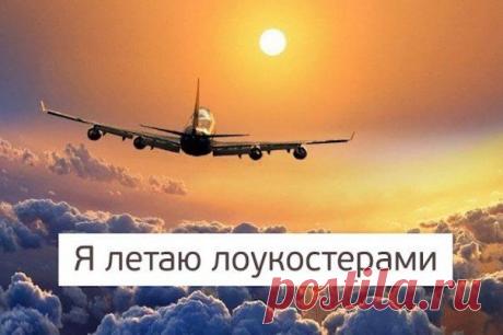 55 авиакомпаний, с которыми можно летать за копейки. | WorldCity