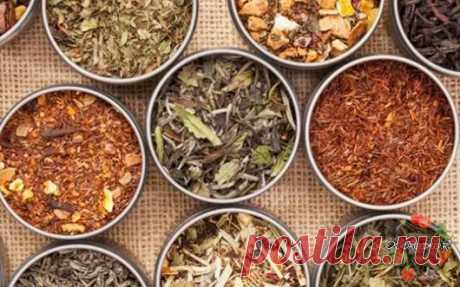 Огородко — садовод и огородник – Google+