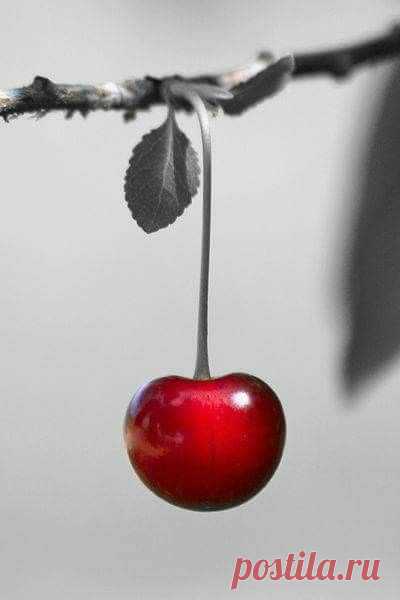 fotos color splash rojo - Búsqueda de Google