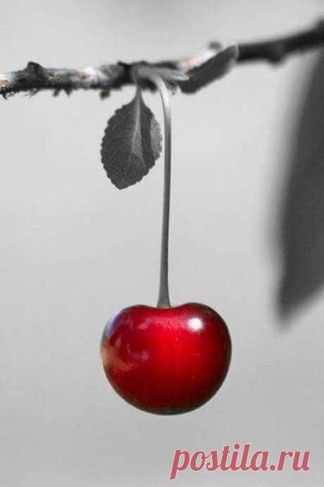fotos color splash rojo - Búsqueda de Google