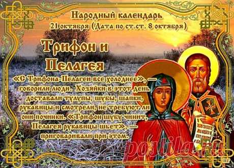 Пелагея считается покровительницей девушек, а Трифон — помощником в трудах и охране от зла. Пусть они оберегают вашу семью и приносят свет в сердце. С тёплым и добрым праздником!
Трифон и Пелагея открытки