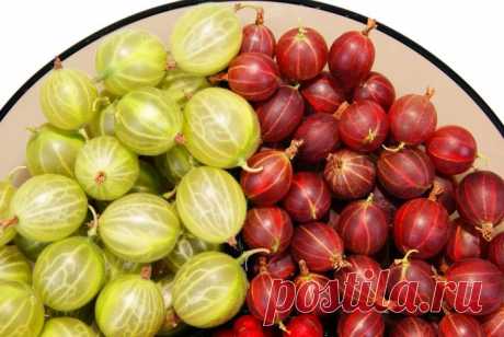 Еда для кожи: полезные продукты, улучшающие состояние кожи лица