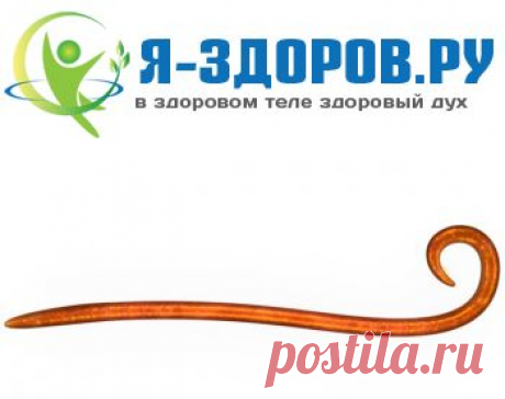 Симптомы Аскаридоза у Детей И Лечение Заболевания