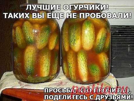 Эти огурчики я попробовала на пикнике 1 мая в прошлом году. Принесла их коллега по работе со словами:"Залежались дома...". В итоге (она живёт рядом с посадкой, в которой мы отдыхали) ей пришлось идти за второй половиной банки. Рецептом поделилась её мама, откуда она взяла - не знаю. Конечно же, первым рецептом у меня при сезонном мариновании огурцов был именно этот. Итак,

Ингредиенты:

молоденькие огурчики (чуть больше корнишонов)
чеснок
лавровый лист
чёрный перец горошко...