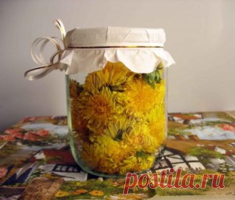 Рецепты лечения одуванчиком - Perchinka63