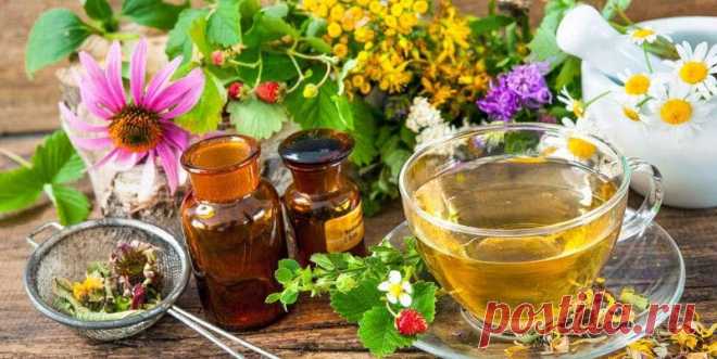 Какие травы понижают давление и для сосудов головного мозга Какие травы понижают давление и полезны для сосудов головного мозга. Насколько безопасен их прием и можно ли полностью заменить ими медикаменты. В каком виде применять и как приготовить.