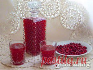 Клюквенный морс с медом (без кипячения)