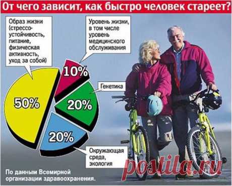Международная группа врачей, психологов и диетологов разработала «десять заповедей», следуя которым, мы сумеем, по их мнению, продлить и сделать более приятной свою жизнь.
А вы хотите оставаться здоровыми, активными, замедлить старение и жить минимум до 120 лет?