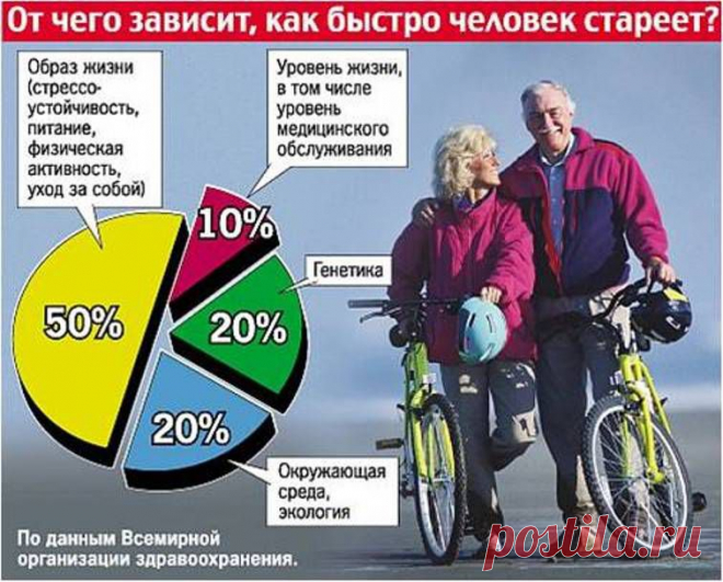 Международная группа врачей, психологов и диетологов разработала «десять заповедей», следуя которым, мы сумеем, по их мнению, продлить и сделать более приятной свою жизнь.
А вы хотите оставаться здоровыми, активными, замедлить старение и жить минимум до 120 лет?