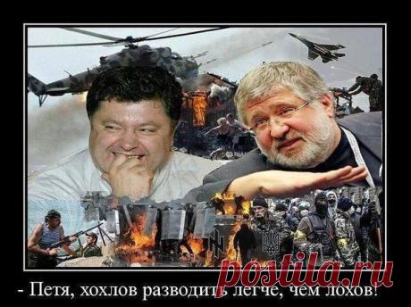 Новости