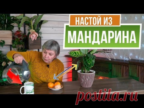 Кожура мандарина ✔️ Подкармливает растения и отпугивает вредителей ✔️