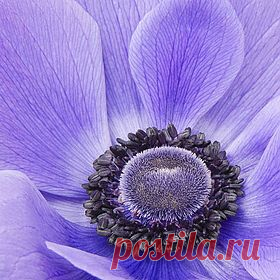 500px / Popular Photos