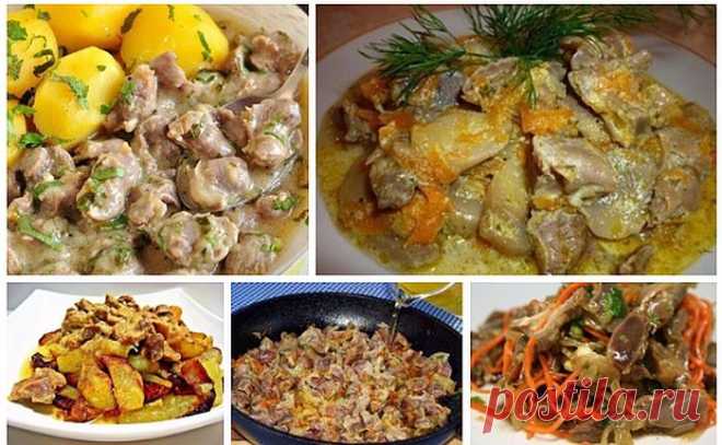 Готовим вкусные куриные желудочки: ТОП 6 рецептов............ #рецепты #кулинария