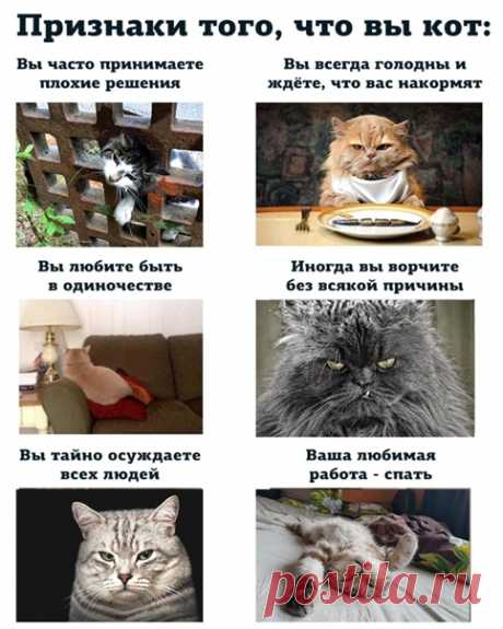 Дзен
