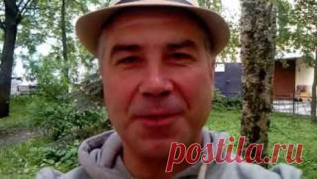 Завершение Питерской поездки
Продолжение следует...
Ай вил би бэк...
