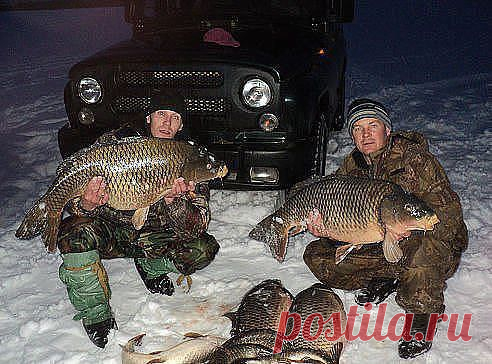 Ну хоть кто-то после рыбалки с рыбой возвращается)
СОХРАНИТЬУстановить себе