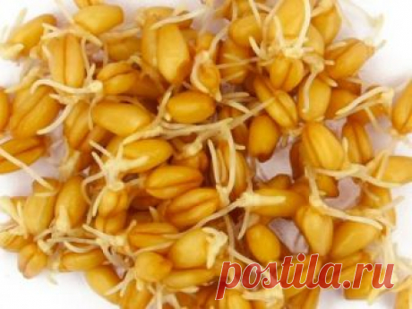 Рецепт натурального средства от рака, которое уже помогло тысячам людей! 
Рецепт доктора медицинских наук России, профессора Мерзлова. 
 
Рецептом этого полностью натурального средства, способствующего излечению множества заболеваний, включая рак, с нами поделился доктор медицинских наук из России, профессор Мерзлов. 
 
Как утверждает сам профессор, с помощью этого средства ему удалось исцелить уже несколько тысяч людей. «Это средство не только лечит, но и укрепляет все те...