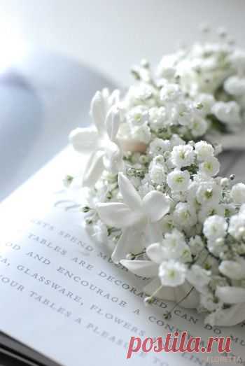 FLORETTA DIARY