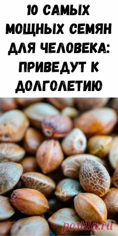 10 самых мощных семян для человека: приведут к долголетию - Журнал для женщин