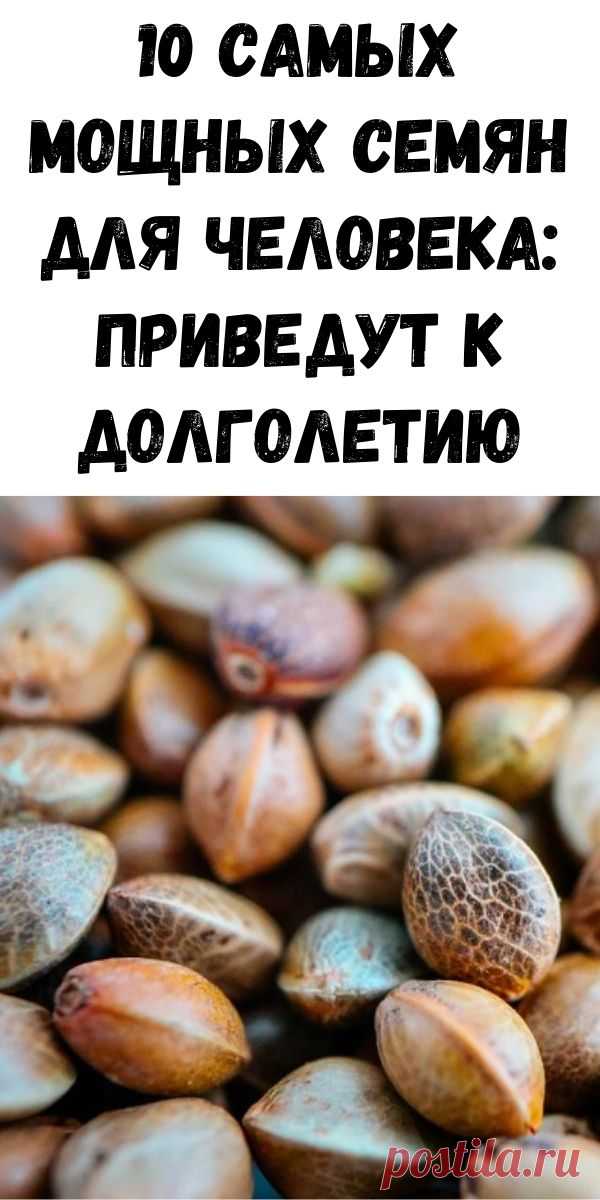 10 самых мощных семян для человека: приведут к долголетию - Журнал для женщин