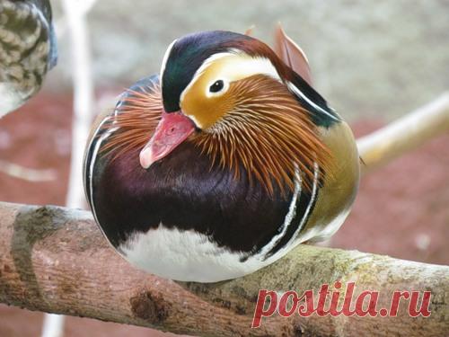 Самые противные беспредельщики - это рыбы!