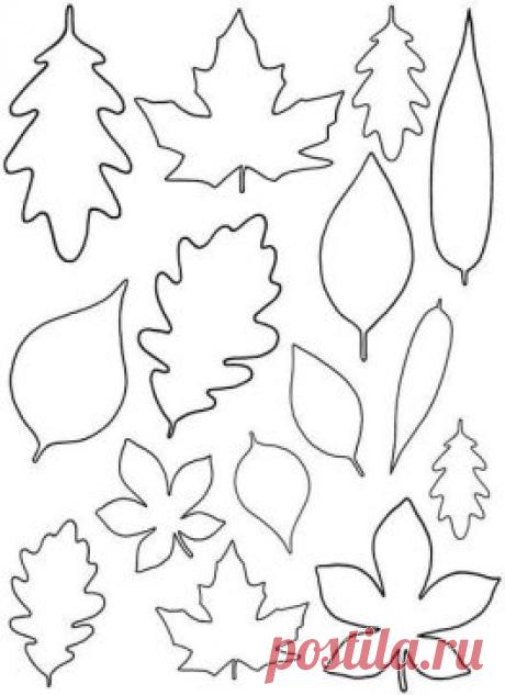 Раскраски, обводки!