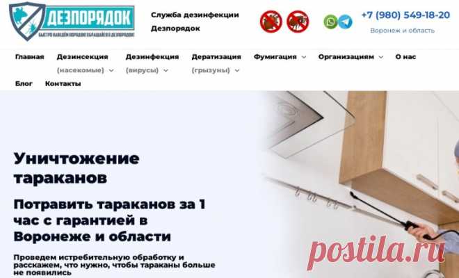 Дезпорядок в Воронеже