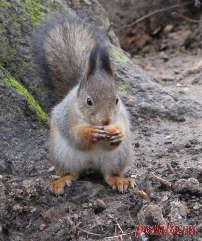 пока не прогнали