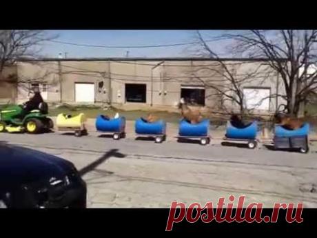 Самый весёлый автопоезд на планете (4 фото + видео)