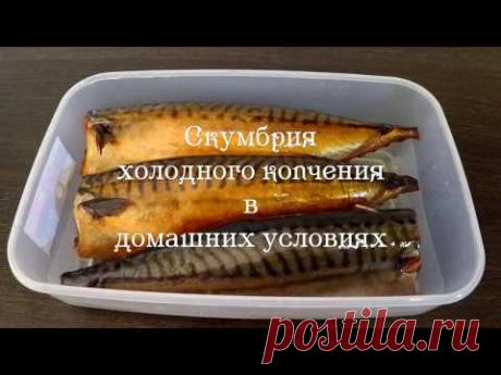 Скумбрия холодного копчения в домашних условиях