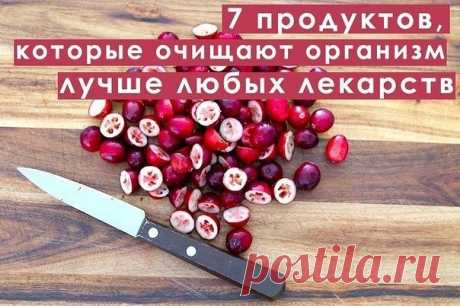 7 продуктов, которые очищают организм лучше, чем любые лекарства 

 Красная свекла
Это "чистильщик" организма №1. Во-первых, она содержит клетчатку , фосфор, медь, витамин С и ряд органических кислот, которые улучшают "движение" еды и уничтожает "плохие" гнилостные бактерии в кишечнике. Во-вторых, в ее состав входит липотропное вещество "бетаин", которое заставлять печень лучше избавляться от токсинов. А, в-третьих, свекла способствует омоложению организма за счет фолиевой...
